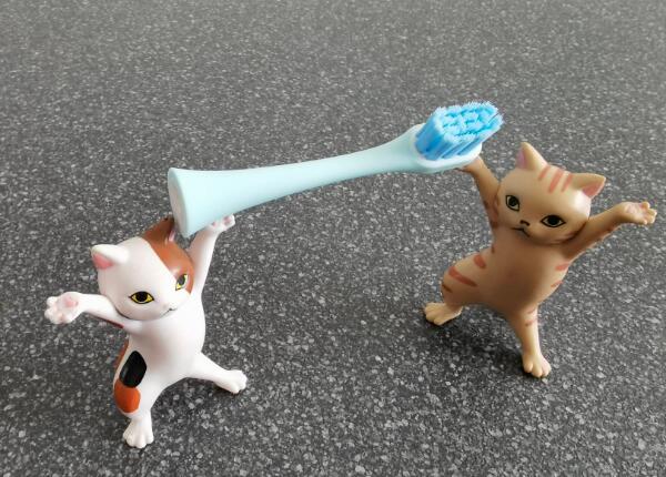 兒童電動(dòng)牙刷頭如何選擇？?jī)和妱?dòng)牙刷頭選購要點(diǎn)